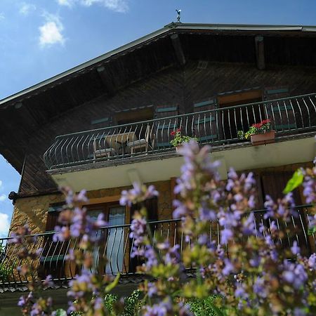 Chalet Génépi Montriond Esterno foto