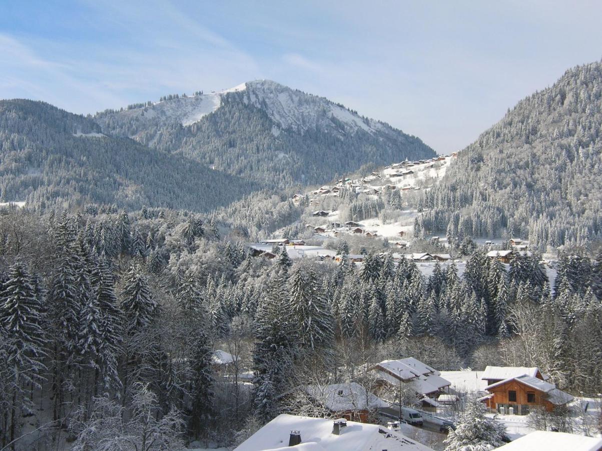 Chalet Génépi Montriond Esterno foto